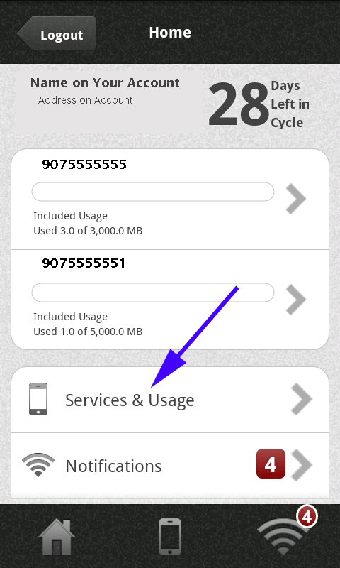 Services & Usage Link
