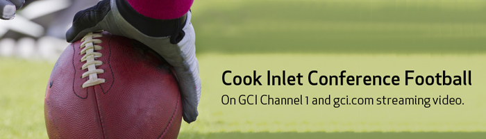 Channel1_HighSchoolFB_Banner_700x200
