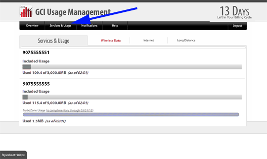 004b_svc_usage_tab_tz Service & Usage Link