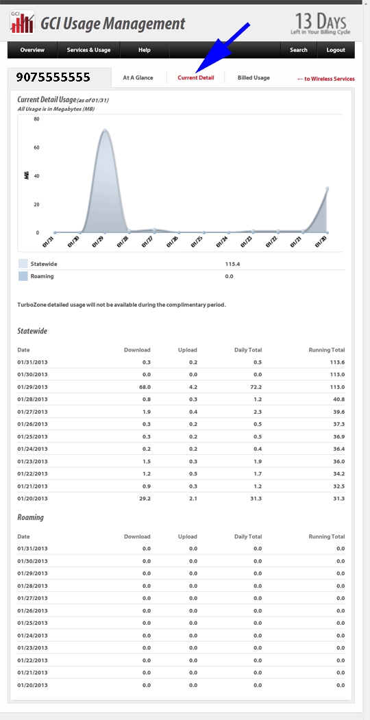 005_wireless_cur_details_tz Wireless Current Usage