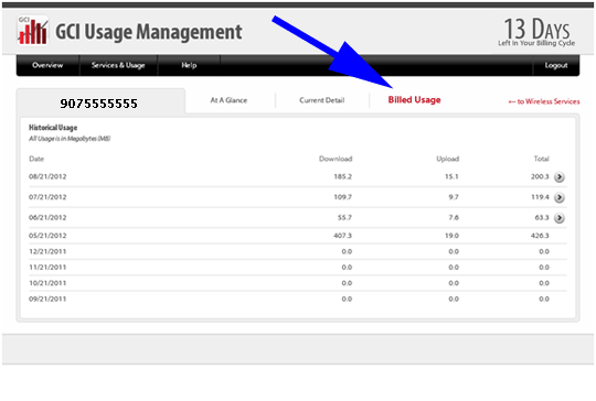 005_wireless_hist_overview_arrow_sum_link Billed Usage Tab