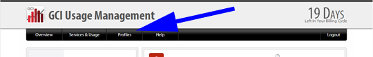 010_profile_tab Profile Tab