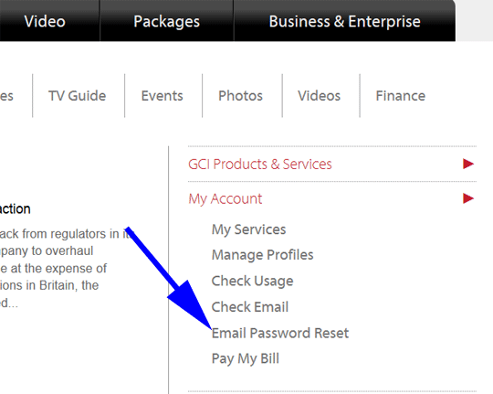 Email Password Reset