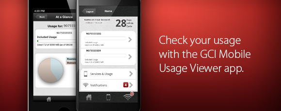 Wireless Mobile Usage