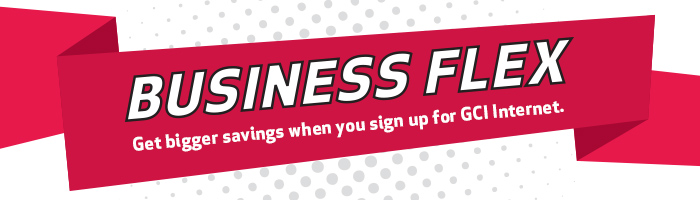bizflex_header_700x200-3