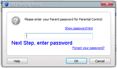 Password